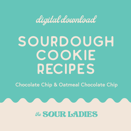 Sourdough Chocolate Chip & Oatmeal Chocolate Chip Cookie Recipes